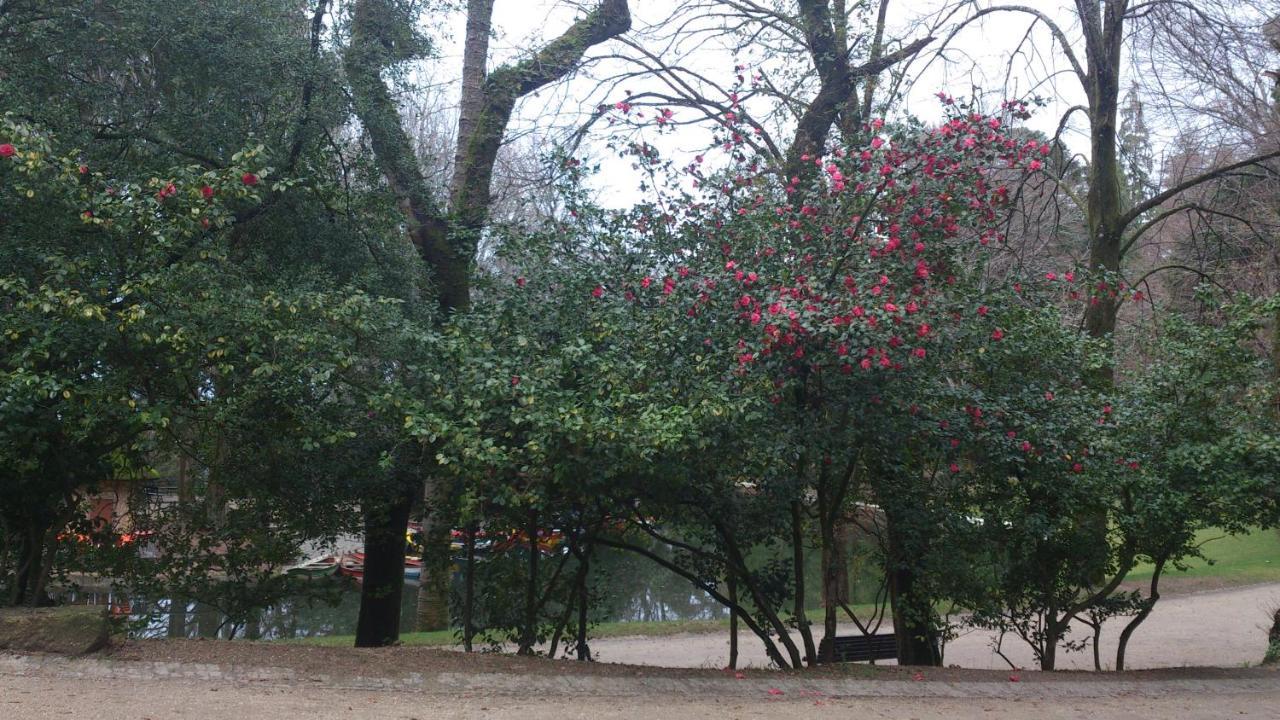 Hotel Do Parque Braga Luaran gambar